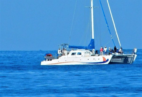 Pourquoi opter pour un catamaran en guadeloupe